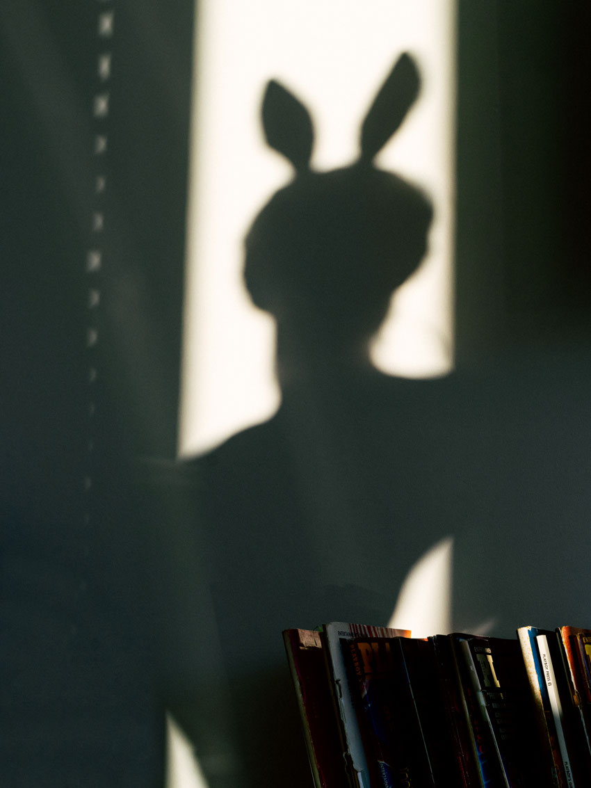 Fine art photography print by Guido Di Salle, Diary series