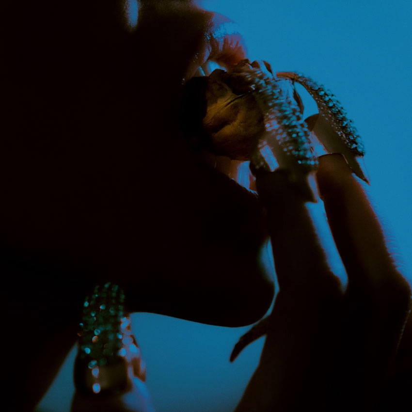 Toronto fashion photographer Guido Di Salle, Diary series