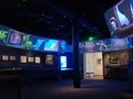 Walt Disney Family Museum: Edge Blended Video Ribbon