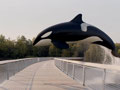 Orca