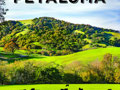 Visit Petaluma