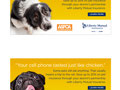 I conceptualized and wrote these web banners promoting Liberty's pet insurance offering.